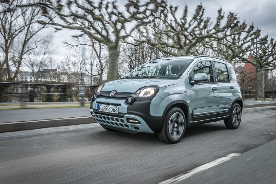  Fiat Panda City Cross Hybrid Launch Edition (319) 2020 года  (фото 92 из 112)